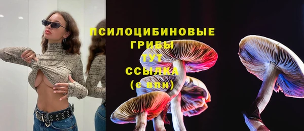 мескалин Козельск