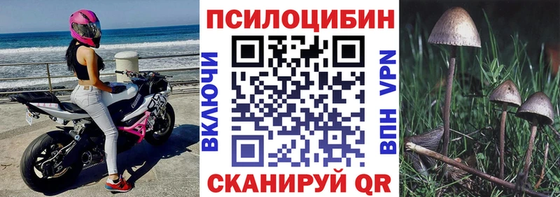 цены наркотик  Менделеевск  Галлюциногенные грибы GOLDEN TEACHER 