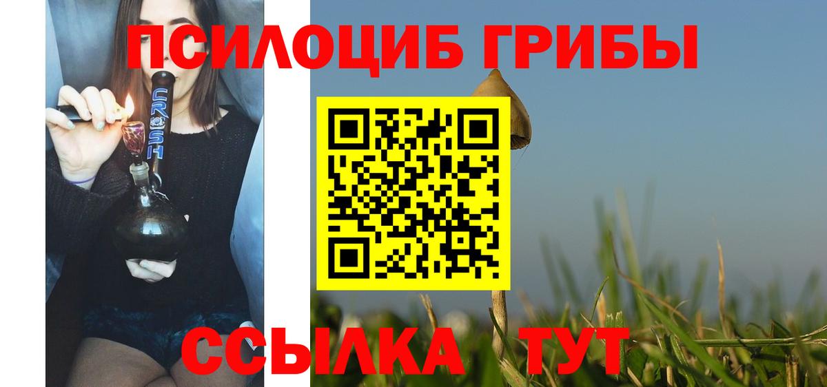 Псилоцибиновые грибы Cubensis Менделеевск