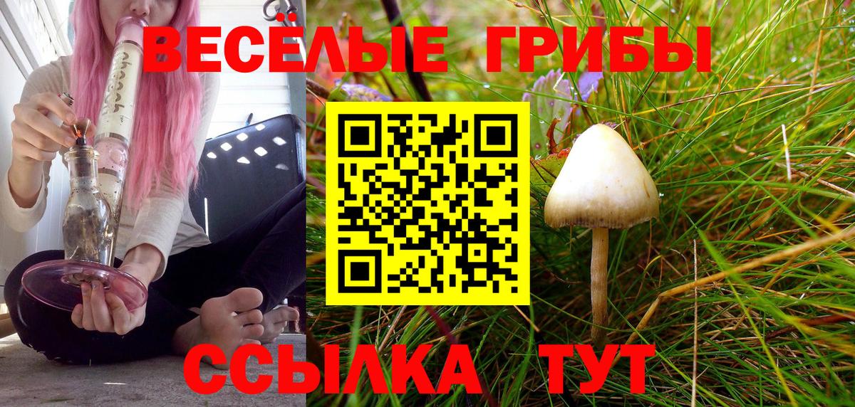 Менделеевск  Галлюциногенные грибы Psilocybe  сколько стоит  Вход с VPN 